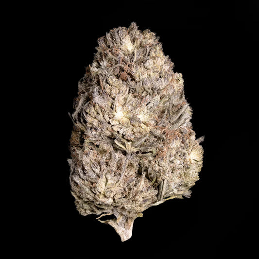 BUBBA KUSH THCA HEMP TEA FLOWER
