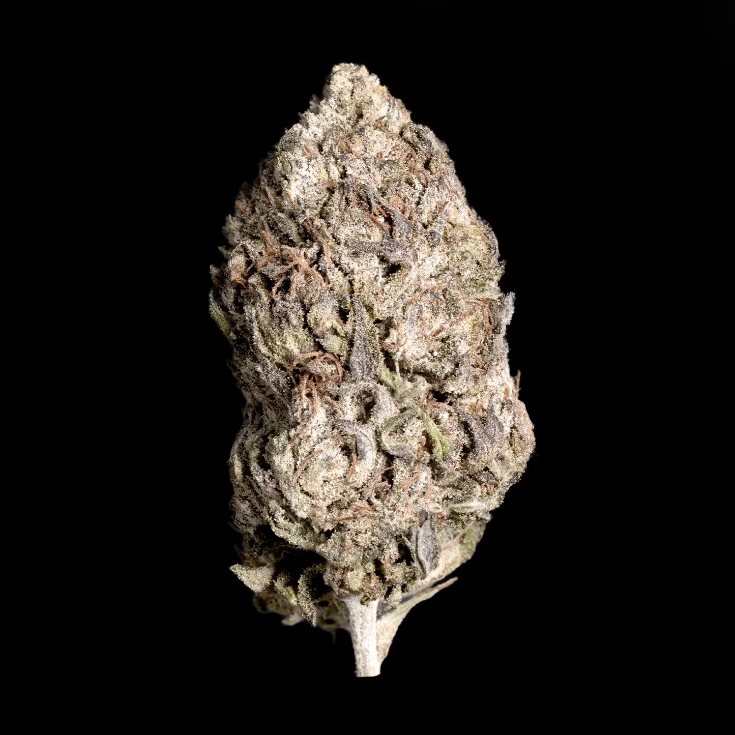 BUBBA KUSH THCA HEMP TEA FLOWER