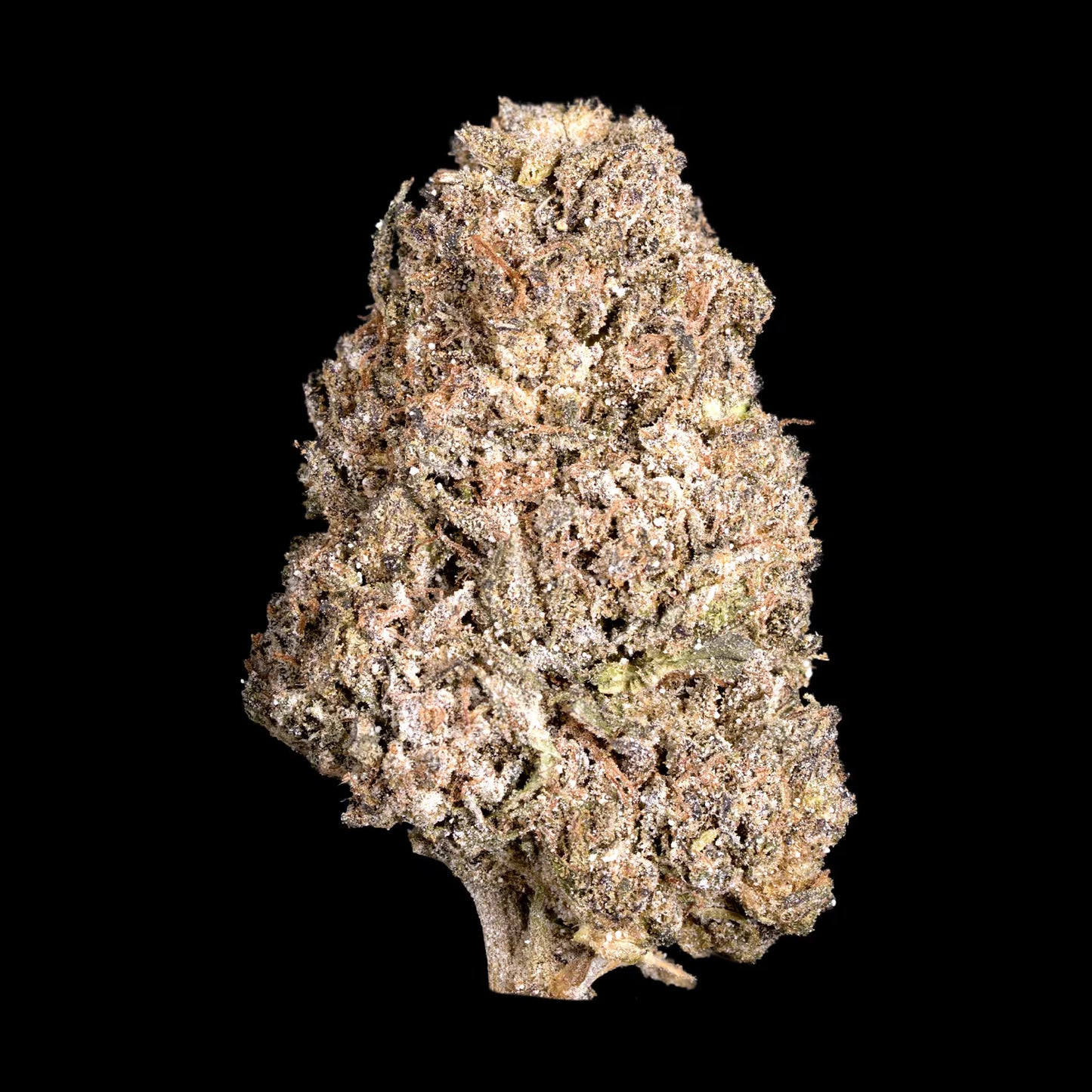 ROYAL OG THCA HEMP TEA FLOWER