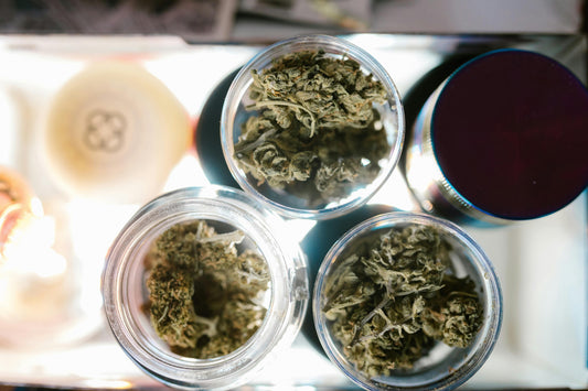 CBD Flower in glass jars on display at a shop