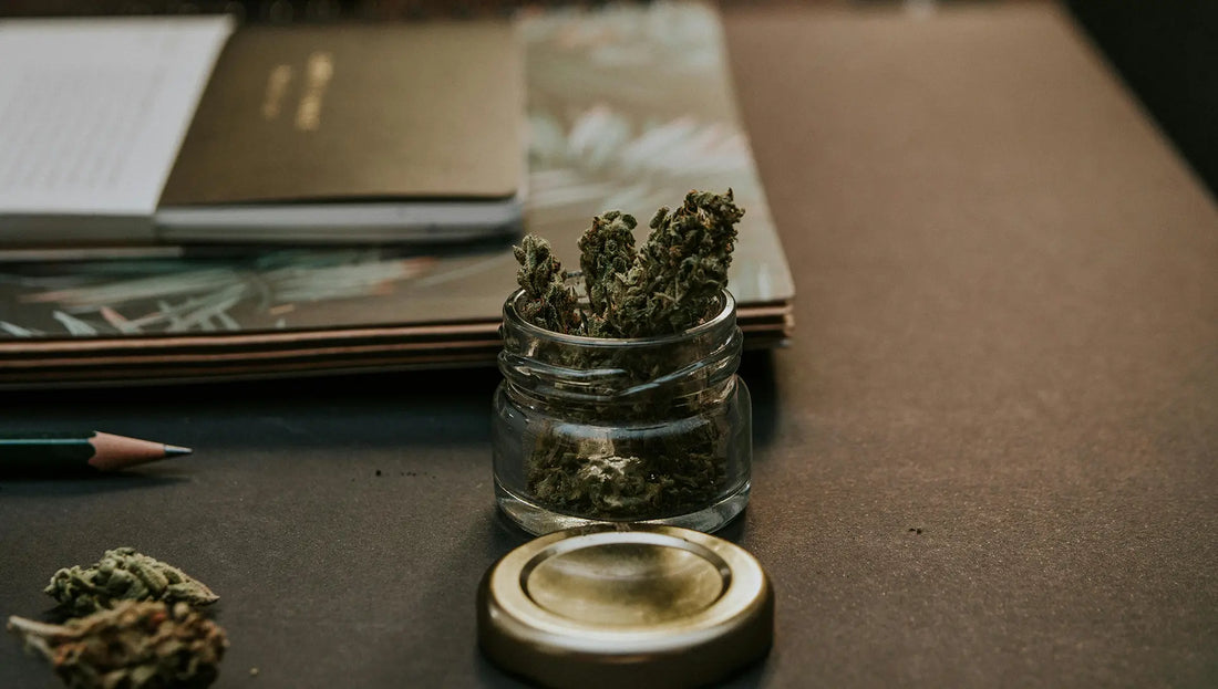 THCA vs THC: What’s the Difference?