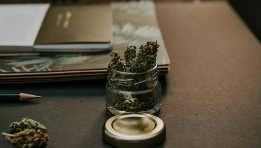 THCA vs THC: What’s the Difference?