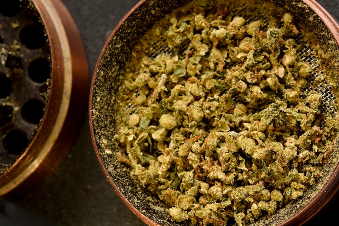 Four-piece herb grinder open showing kief screen and freshly ground botanical herb material, copper finish, dark background