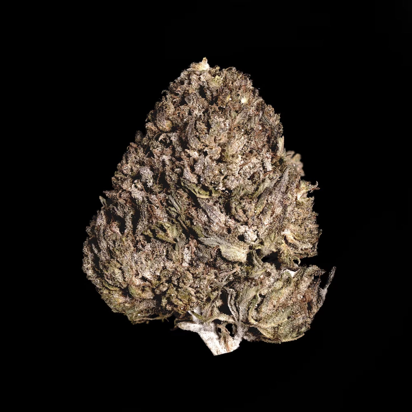 BUBBA KUSH THCA HEMP TEA FLOWER