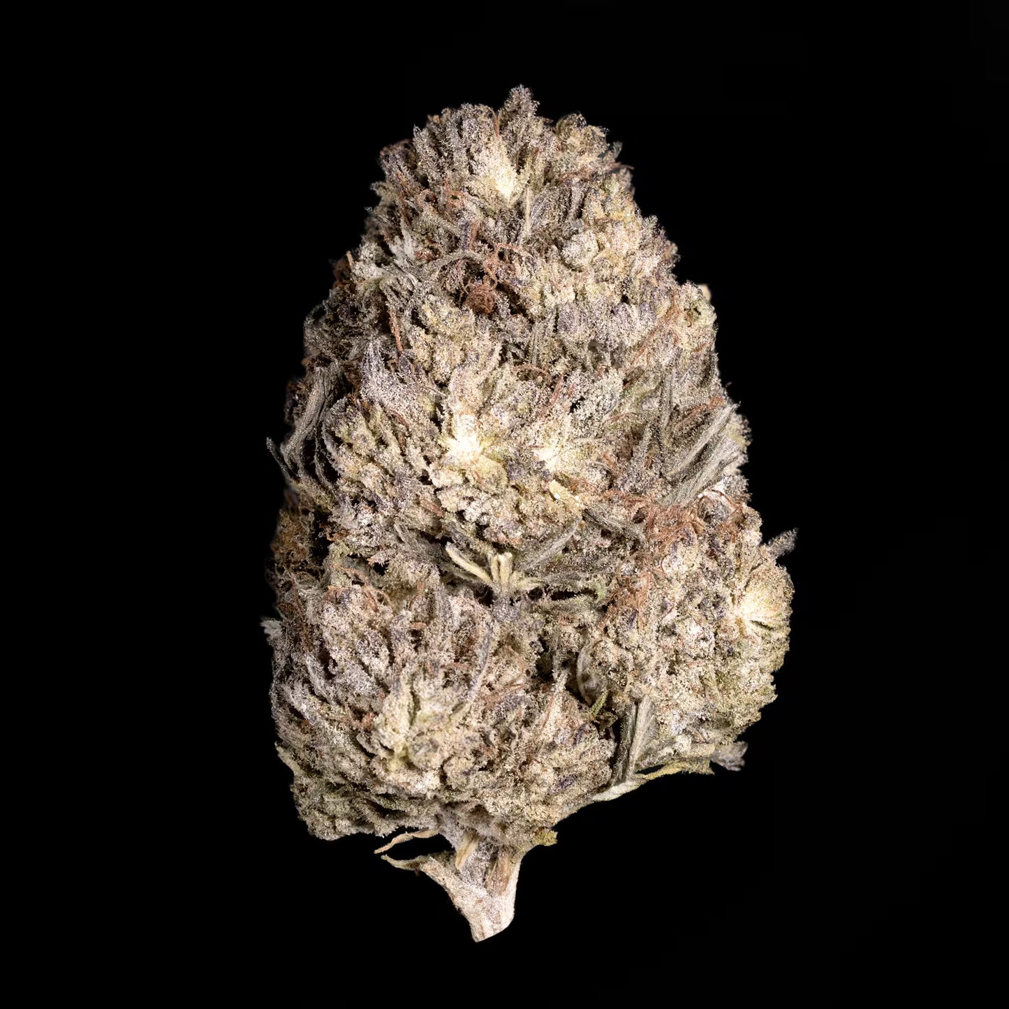 BUBBA KUSH THCA HEMP TEA FLOWER
