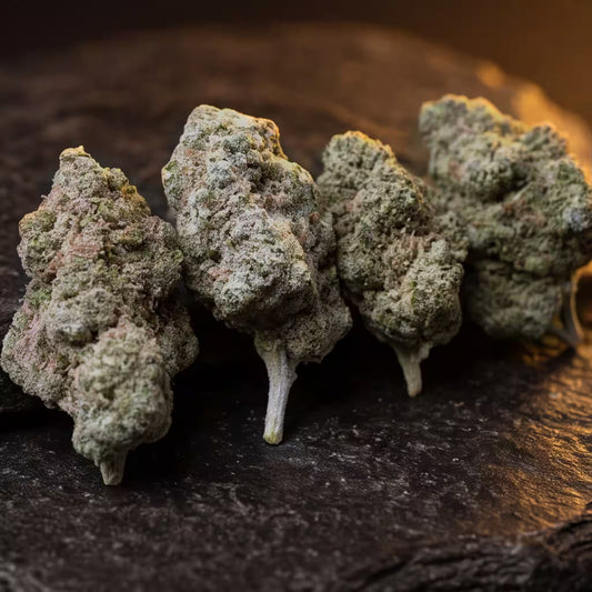 APPLE PIE THCA HEMP TEA FLOWER