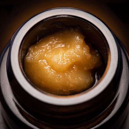 BERRY FUEL THCA PIATELLA HASH TEA