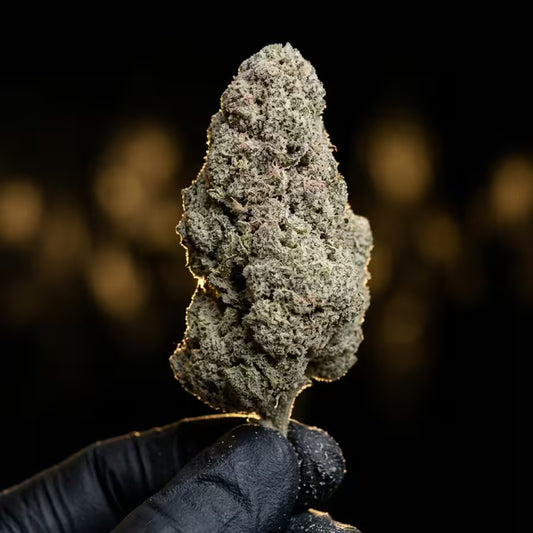 FROSTED SNOWFLAKE THCA HEMP TEA FLOWER