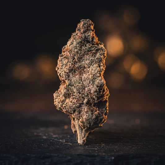 ORANGE FRITTER THCA HEMP TEA FLOWER