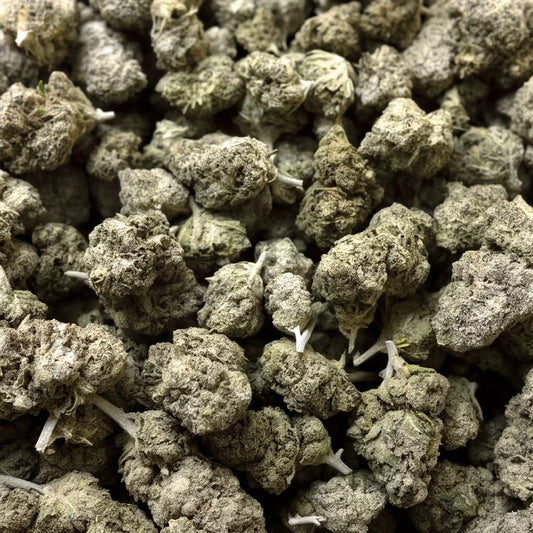 ORANGELLO THCA HEMP TEA FLOWER
